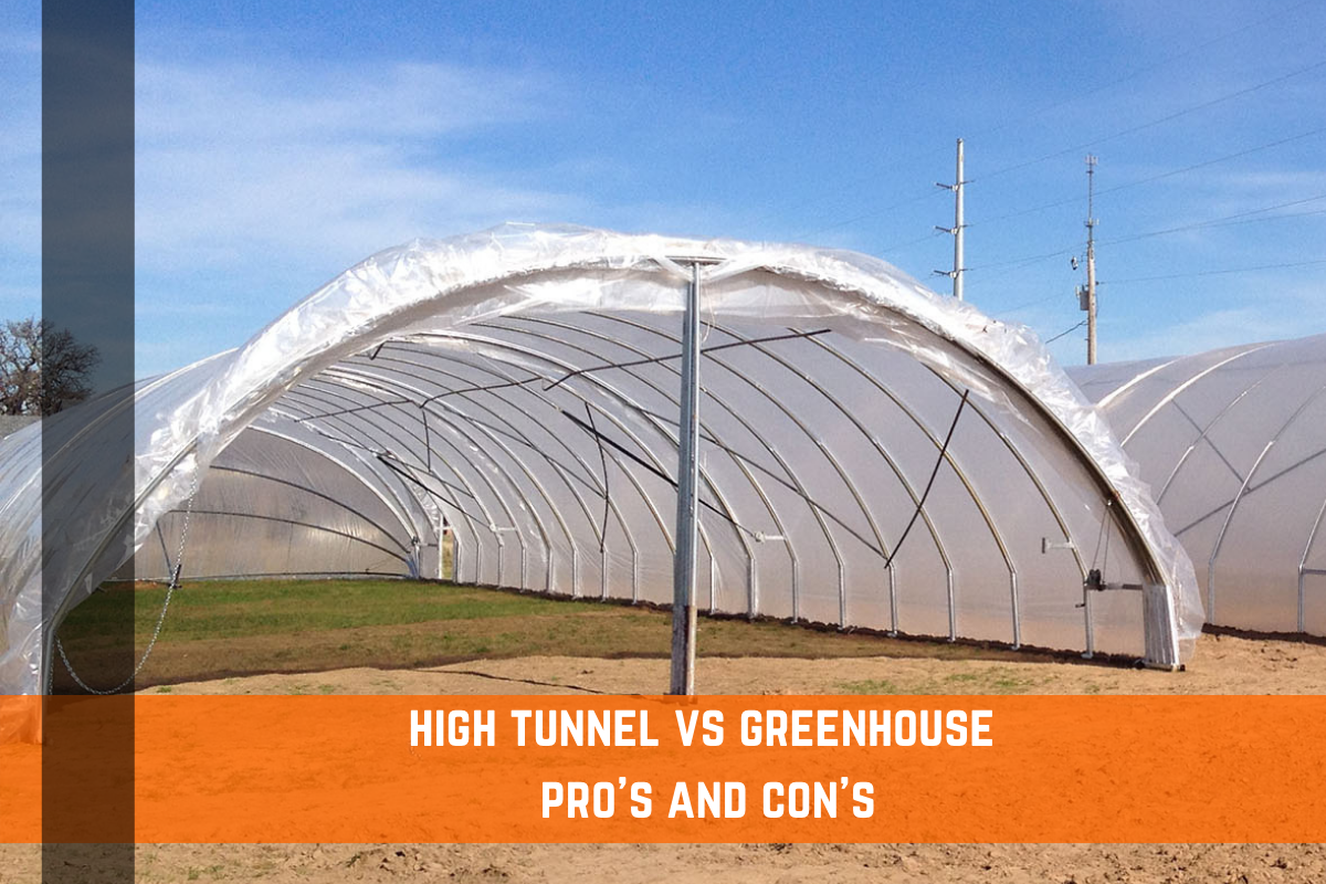 High Tunnel vs. Greenhouse - Pros and Cons of Each